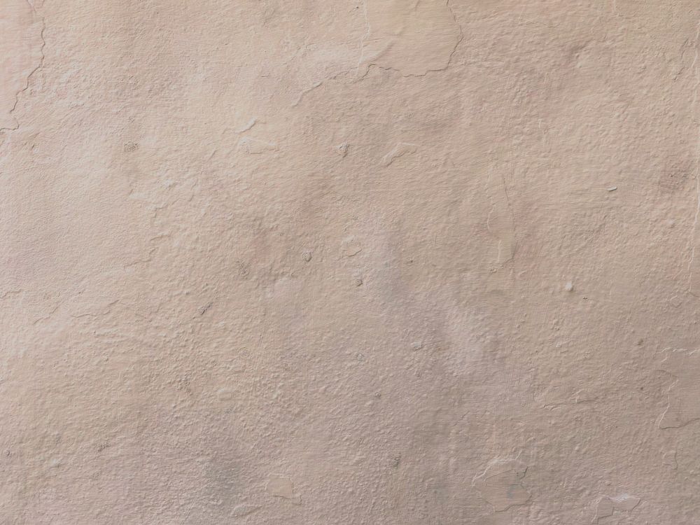 A freshly skim-coated plaster wall ready for paint